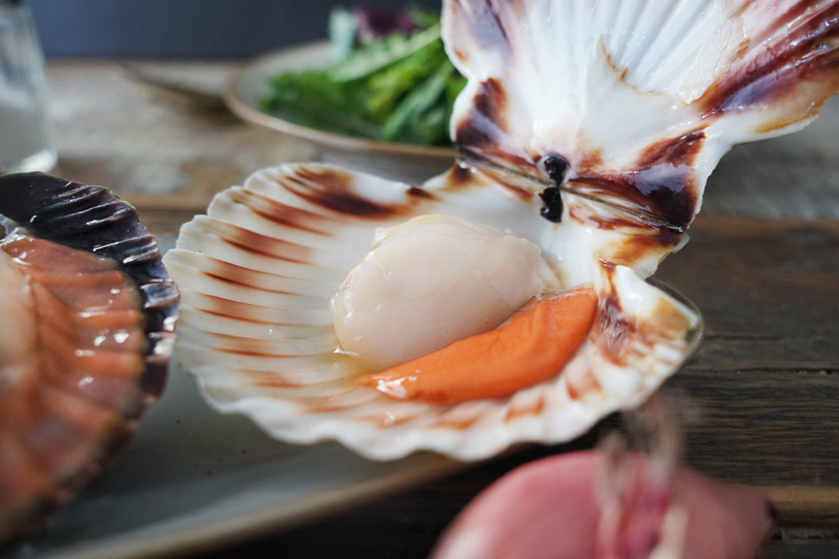 Frische Muscheln kaufen | Online bei send a fish