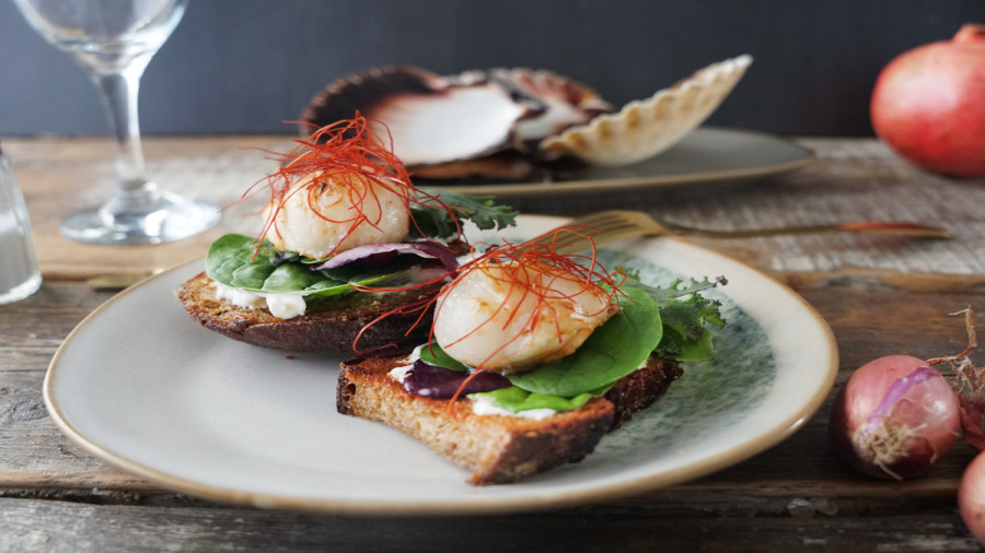 Rezept Jakobsmuscheln auf Röstbrot