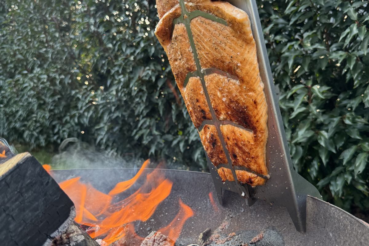 Flammlachs Selection mit Flammlachshalter