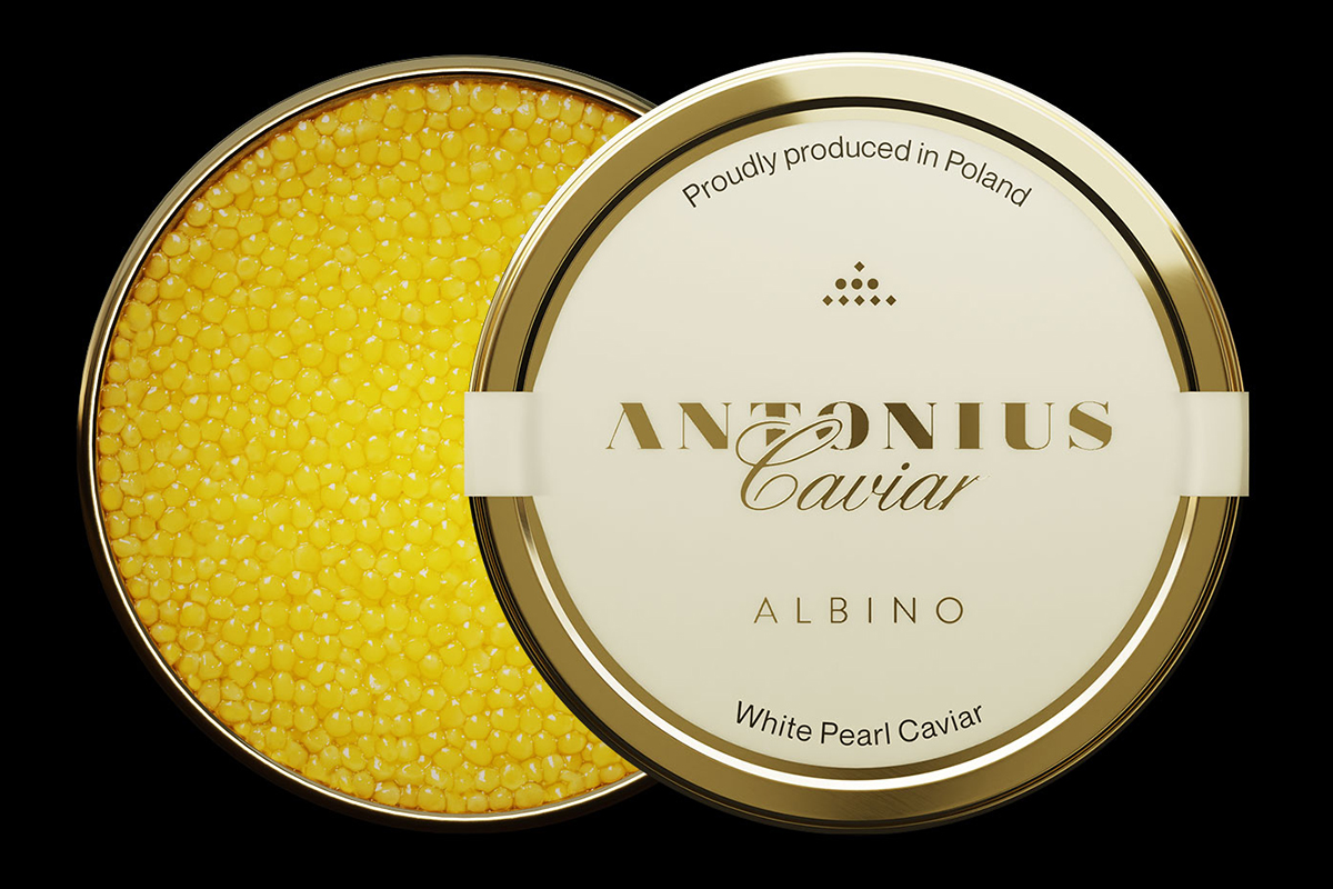 Antonius Albino Caviar 6*