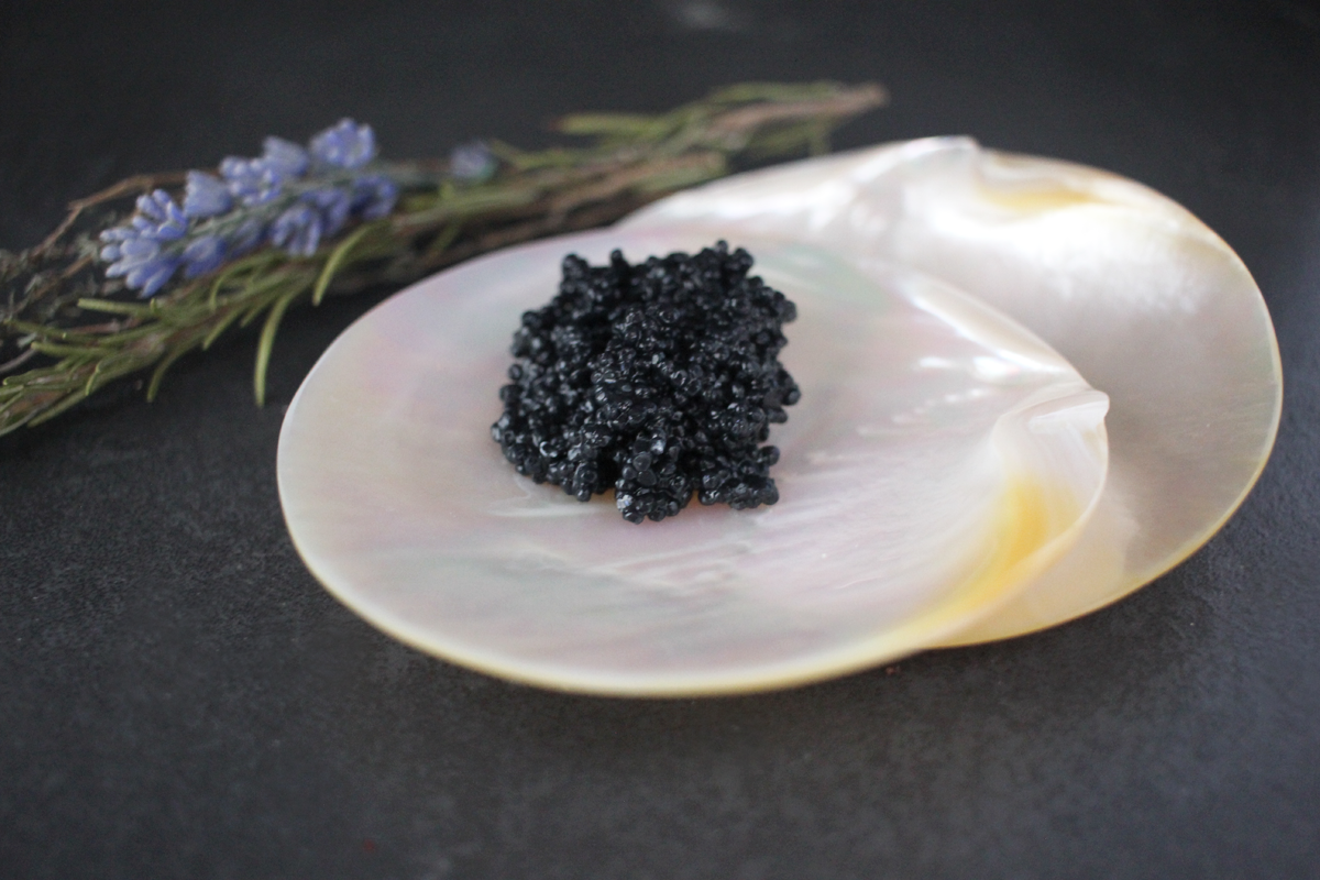 AKI-Perlmuttschalen-fur-Caviar-online-bestellen Perlmuttschalen