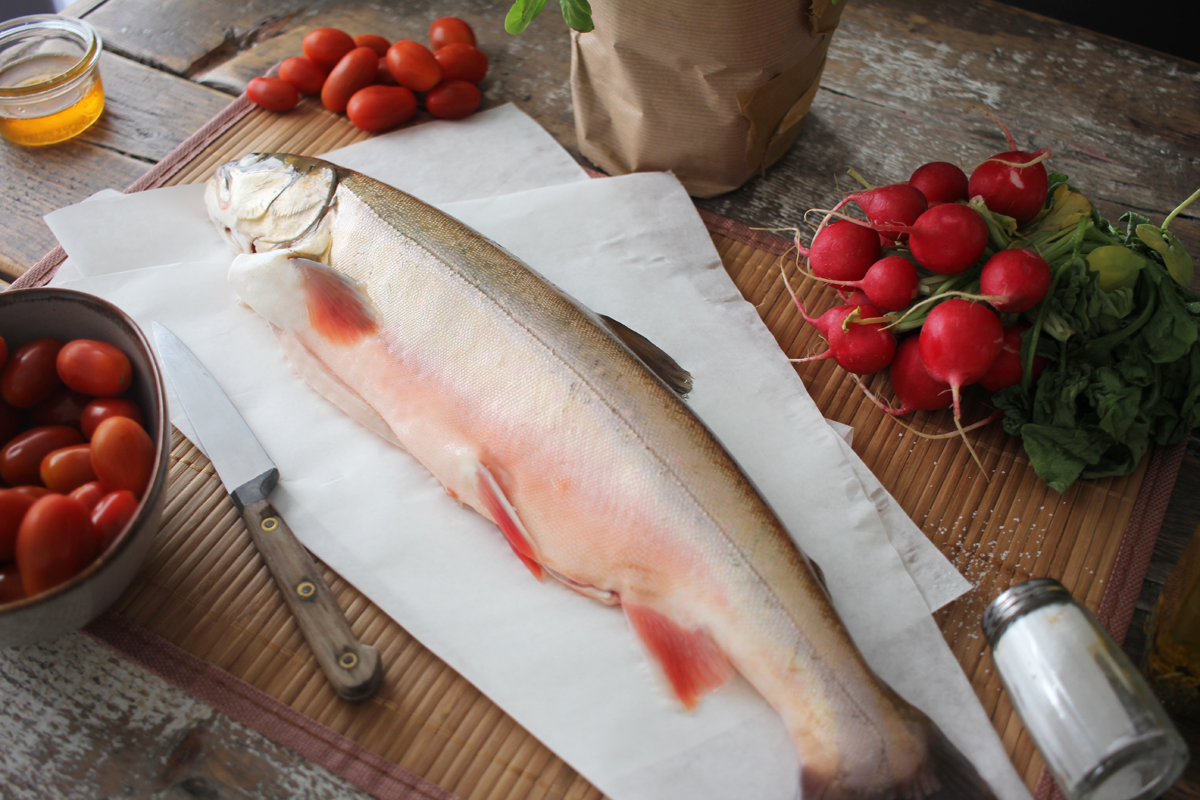 Saiblinge-online-bestellen-2 Saiblinge