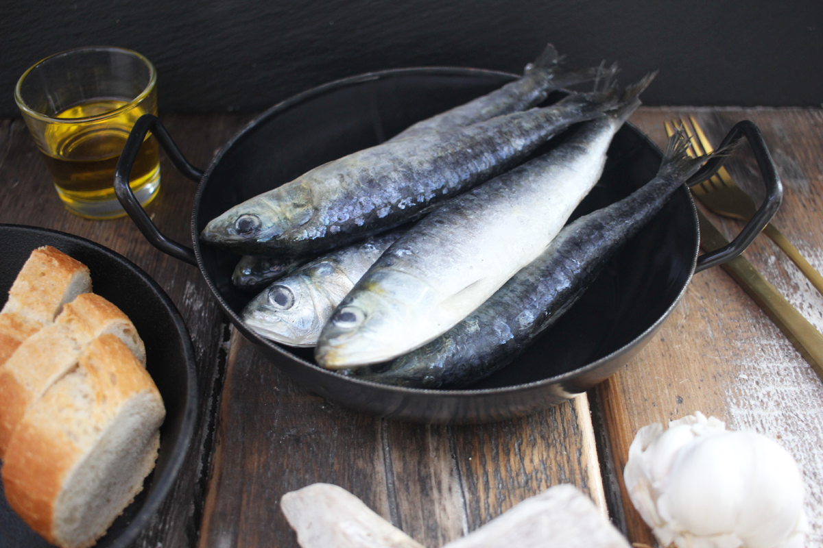 Sardinas de Galicia