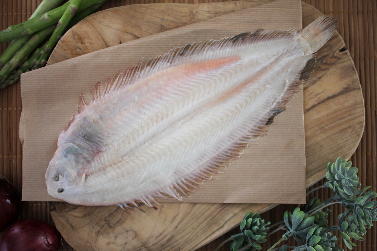 Seezunge-abgezogen-Grosse-L-1