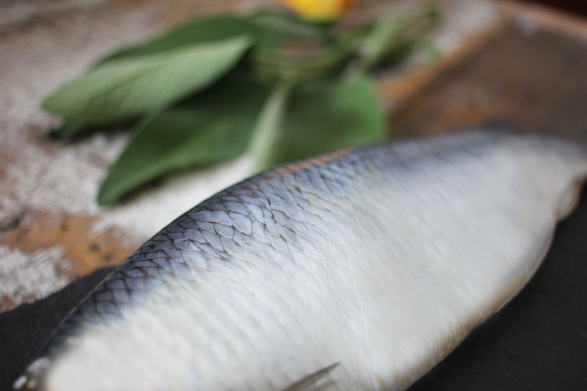 Heringe-online-bestellen-2 Heringe frisch mit Kopf