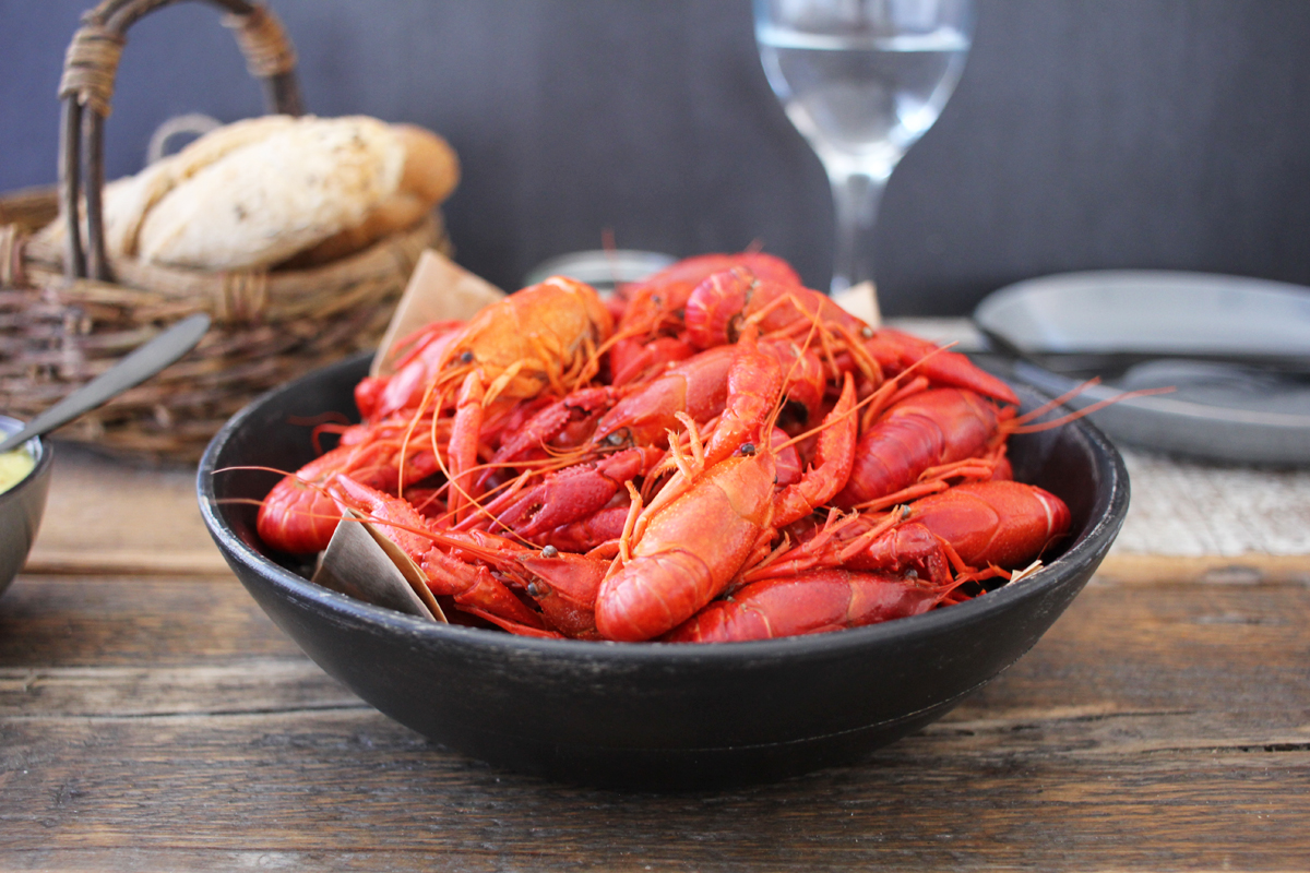 Flusskrebse-in-Weissweinsud-2 Flusskrebse in Weißweinsud