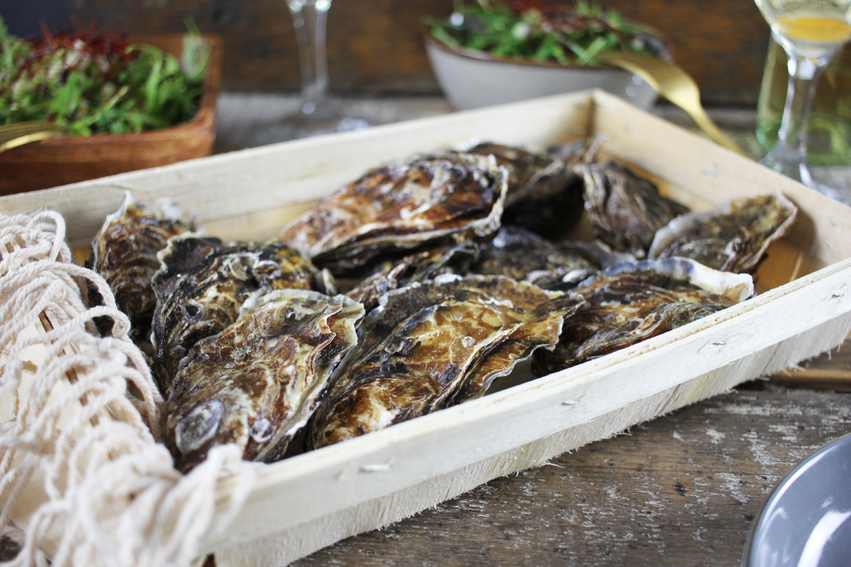 Austern-im-Korb Austern Fine de Claire