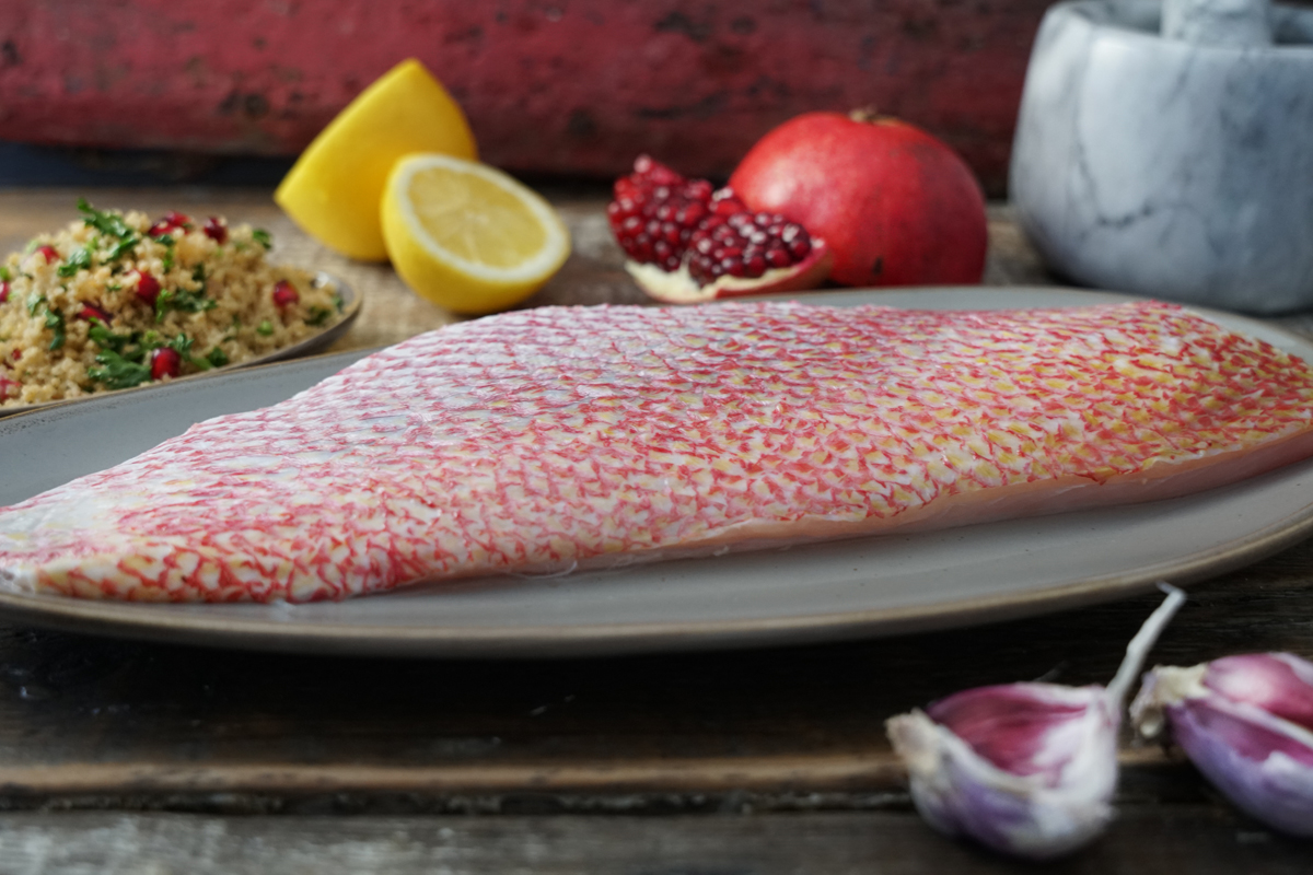 Red Snapperfilet