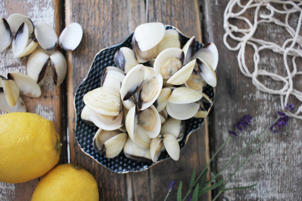Venusmuscheln-in-der-Schale-online-bestellen-2 weiße Venusmuscheln in der Schale