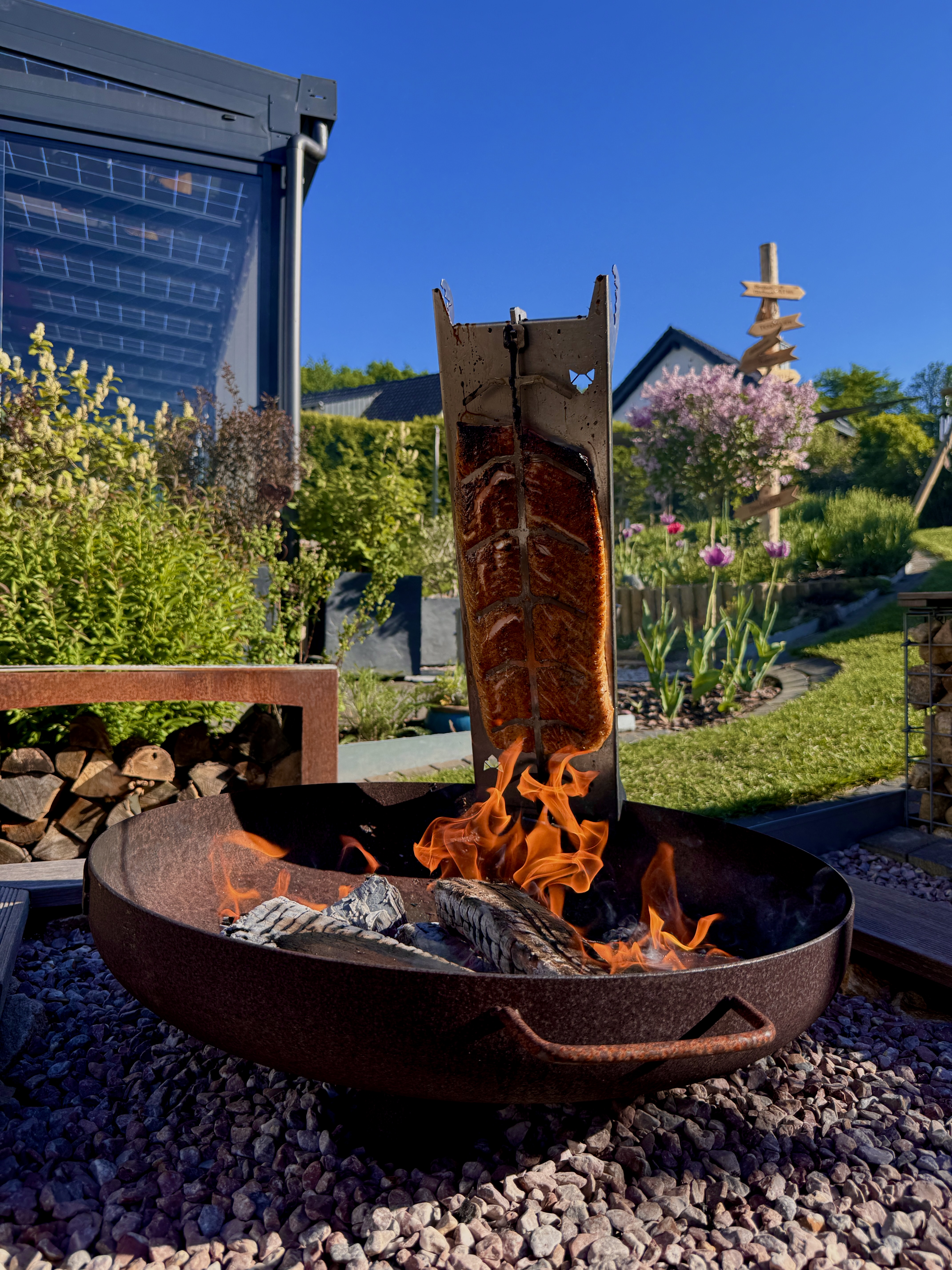 Flammlachs Selection mit Flammlachshalter