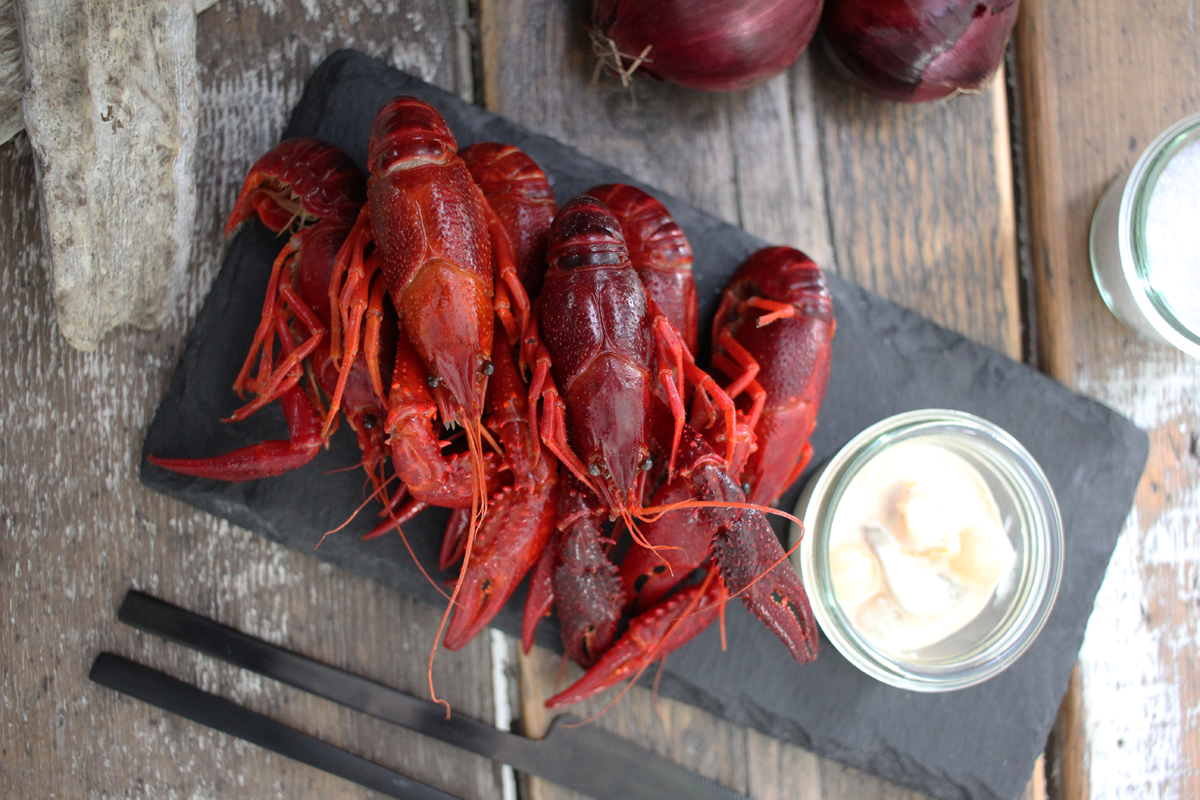 Flusskrebse-in-Dill-Brine-online-bestellen-2 Flusskrebse in Dill Brine