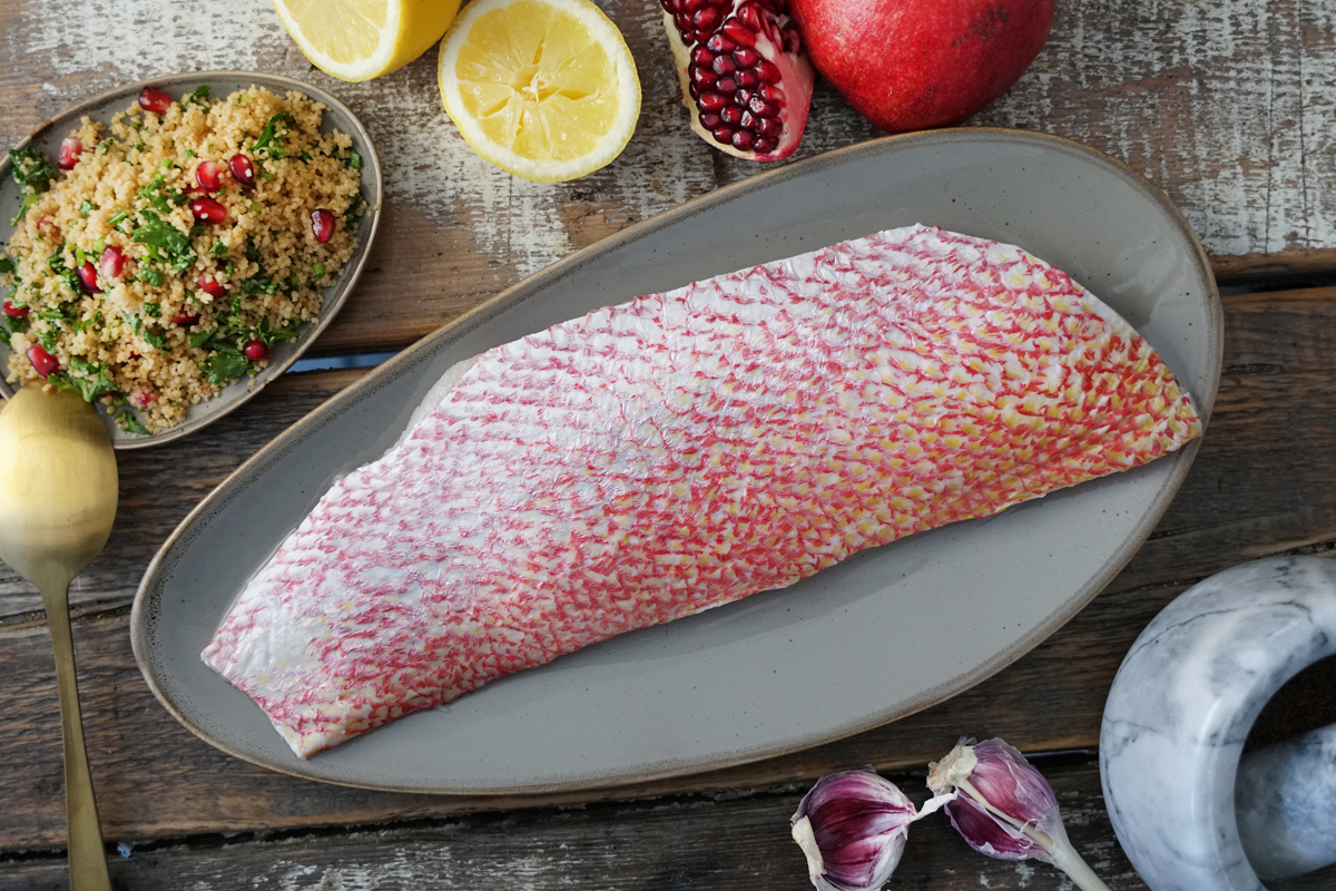 Filet vom Red Snapper bequem online bestellen Filet vom Red Snapper bequem online bestellen