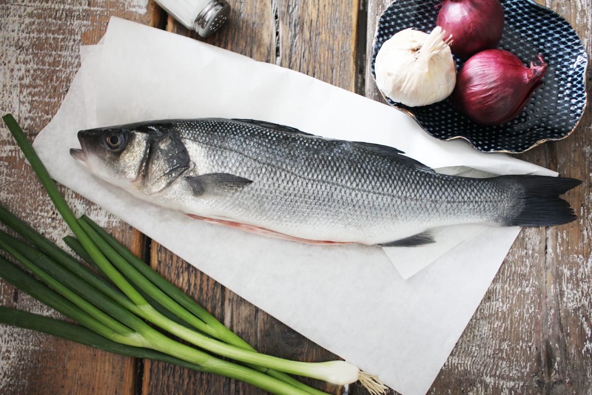 Wolfsbarsch Loup de mer geschuppt
