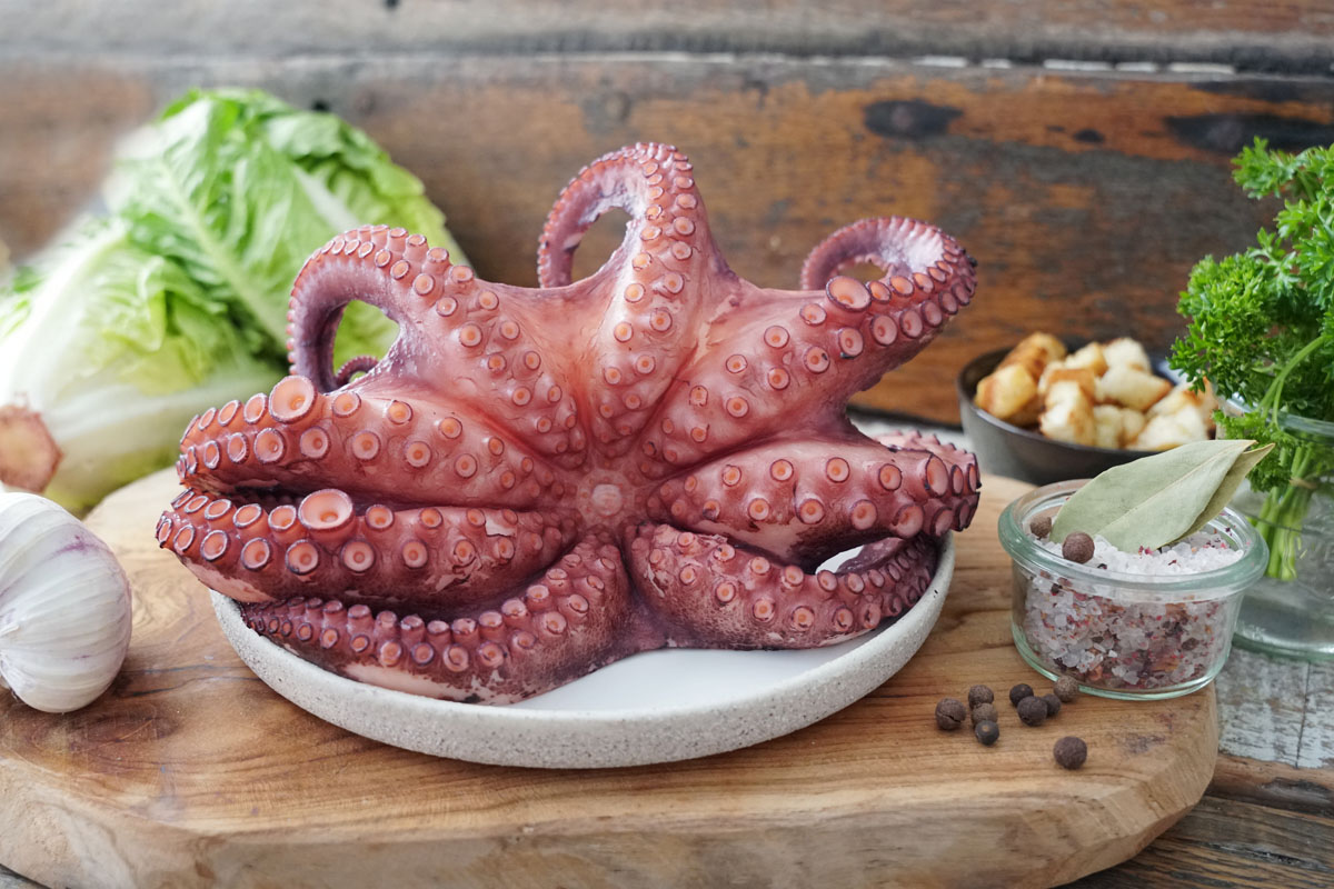 Oktopus ganz gekocht "S"