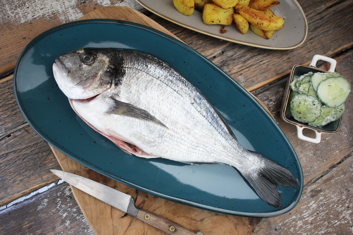 Ganze Dorade Royal - geschuppt