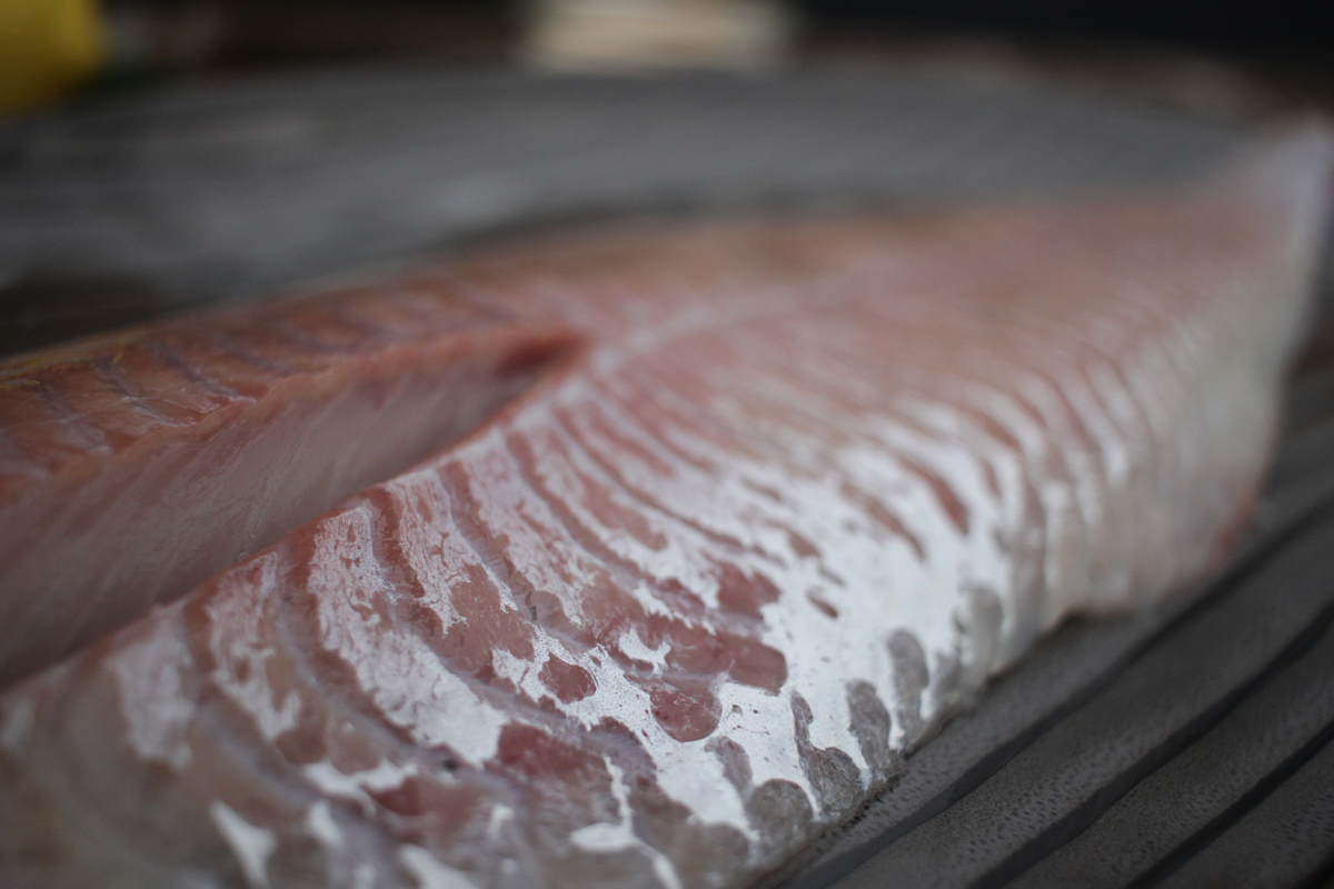 Seelachsfilet-online-bestellen Seelachsfilet