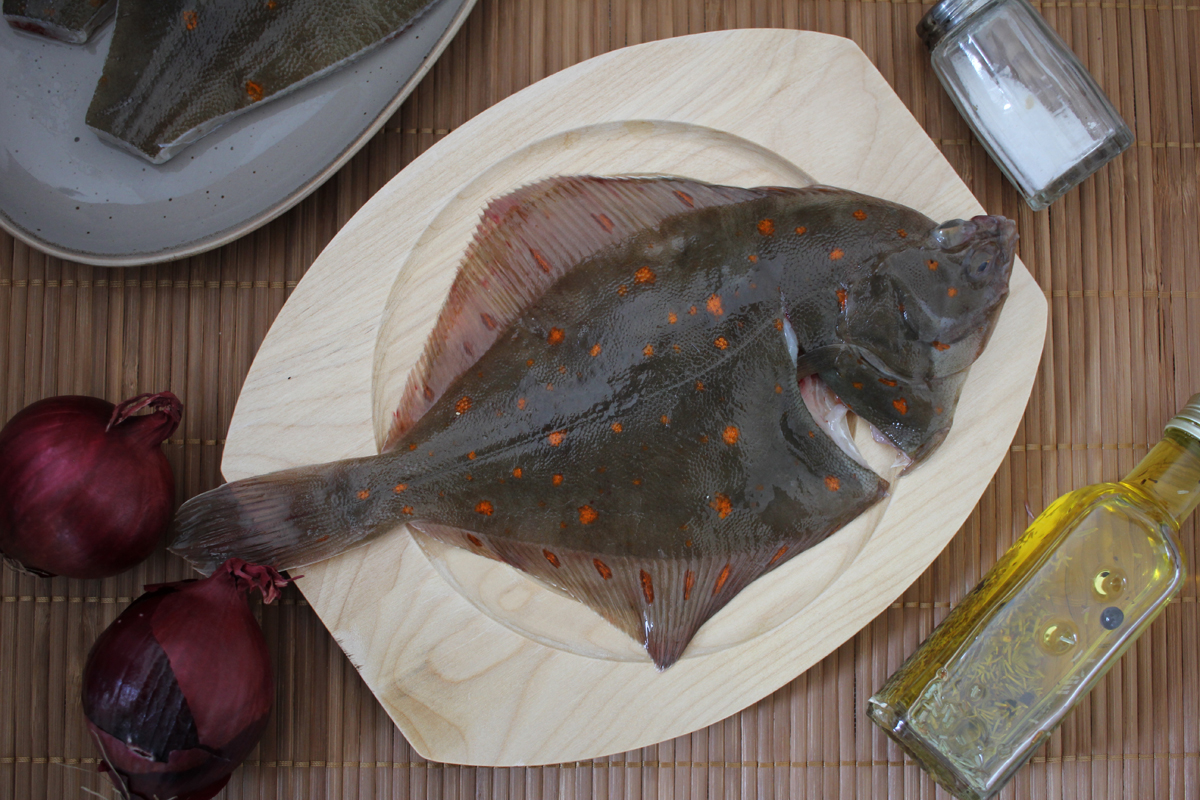 Maischolle fangfrische Jungscholle - mit Kopf Maischolle fangfrische Jungscholle - mit Kopf