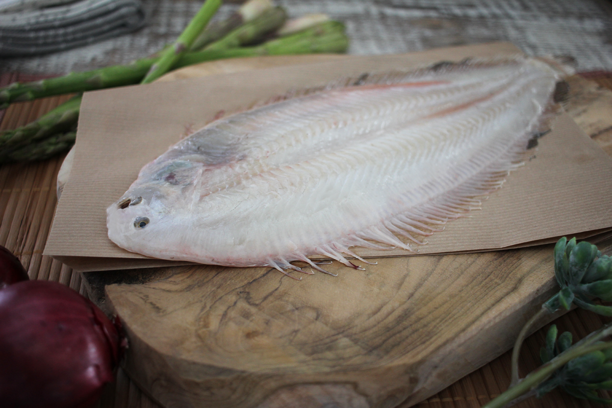 Seezunge-Gruppenfoto-Grosse-L-2 Seezunge abgezogen Größe L