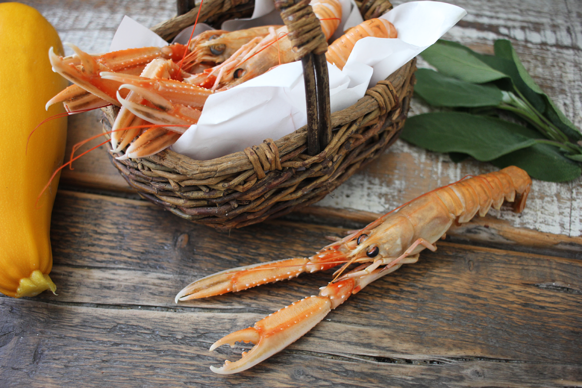 Scampi-Kaisergranat-online-bestellen Scampi Kaisergranat