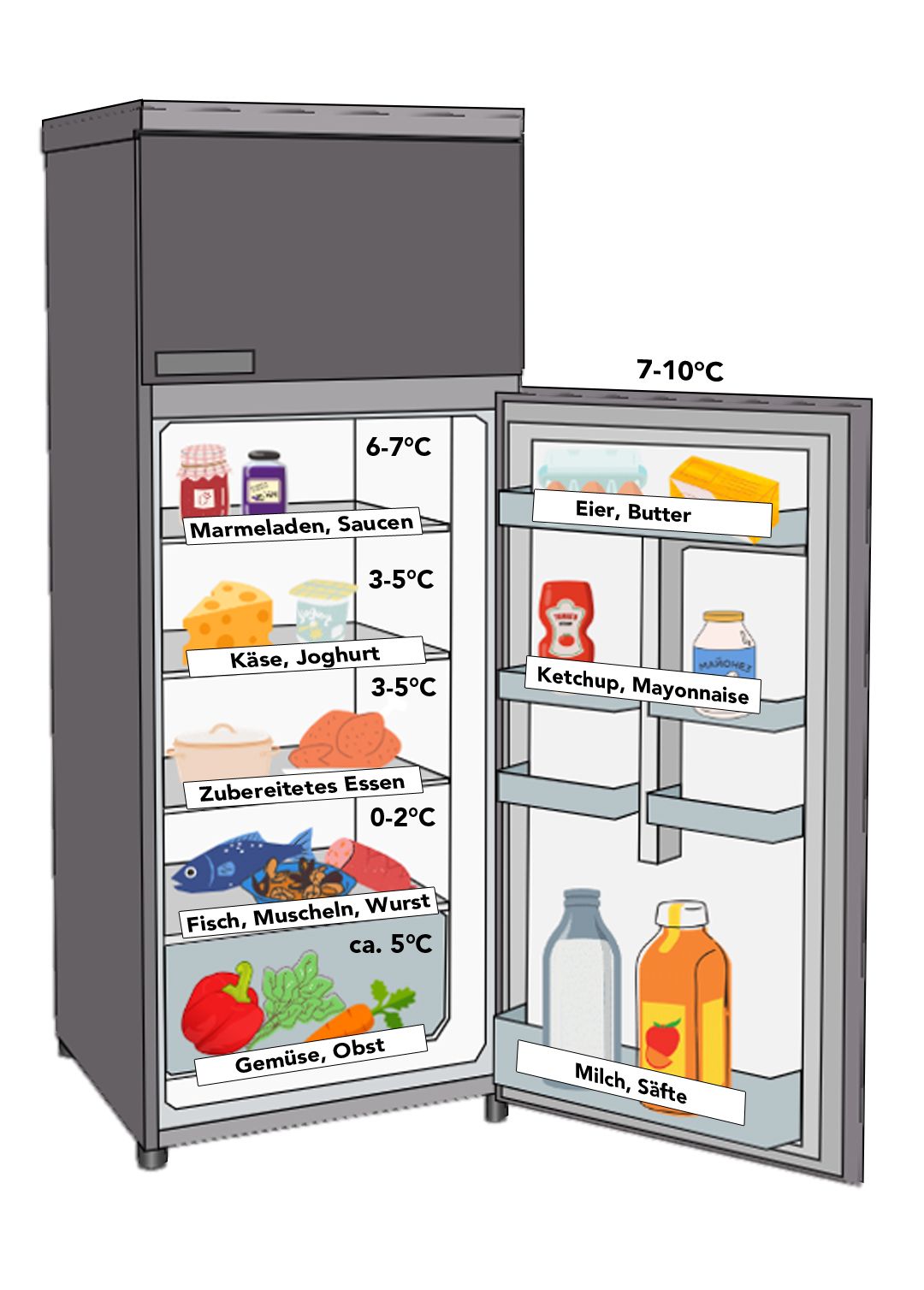 Kältezonen Im Kühlschrank